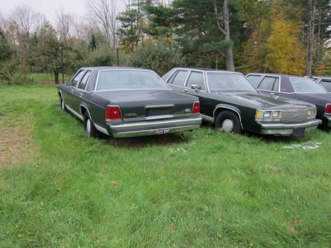 1991 Ford LTD Crown Victoria - Two 1991 Ford Crown Victoria LTD sedans are parked in a grassy area with trees in the background.