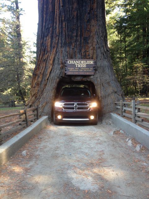 2012 Dodge Durango photo