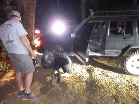 1983 Ford Bronco - The diagnosis was: lower ball joint & outer U-joint grenaded, taking the axleshaft. Brake line & everything else appeared OK.