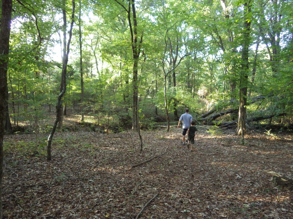 This is the trail we want to open: down into the creek to the Left, then turn Right and drive along the creek bed UNDER the fallen log, and out the other side to the Left again.