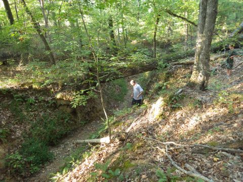1983 Ford Bronco - This is the trail we want to open: down into the creek to the Left, then turn Right and drive along the creek bed UNDER the fallen log, and…