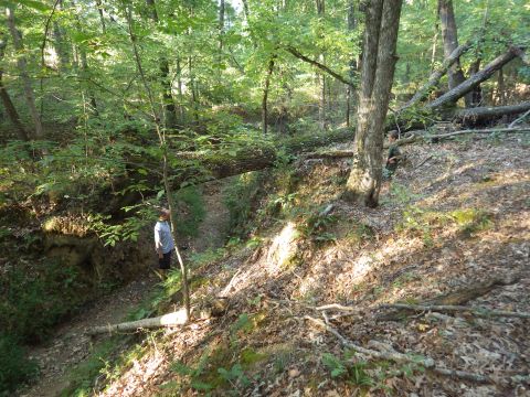 1983 Ford Bronco - This is the trail we want to open: down into the creek to the Left, then turn Right and drive along the creek bed UNDER the fallen log, and…