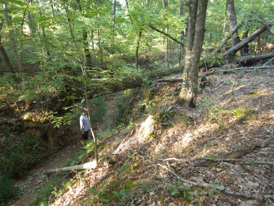 This is the trail we want to open: down into the creek to the Left, then turn Right and drive along the creek bed UNDER the fallen log, and out the other side to the Left again.