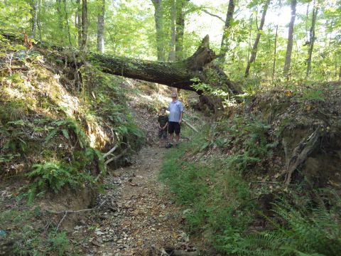 1983 Ford Bronco - This is the trail we want to open: down into the creek from the Left, then turn Right (toward camera) and drive along the creek bed UNDER t…