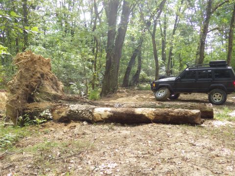1983 Ford Bronco - Detritus