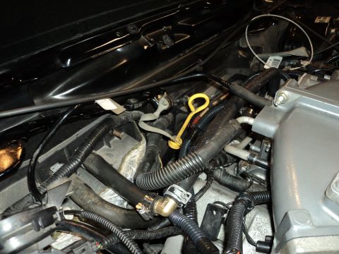 2004 Mercury Grand Marquis - Close-up view of a complex engine bay with numerous hoses and electrical wiring visible.