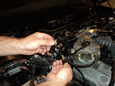 2004 Mercury Grand Marquis - Mechanic's hands manipulate wiring harness components within the engine bay of a 2004 Mercury Grand Marquis.