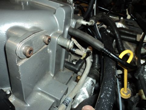 2004 Mercury Grand Marquis - Detail of engine components, including hoses and a yellow dipstick handle.