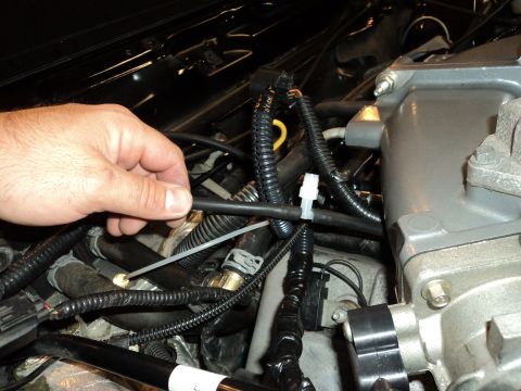 2004 Mercury Grand Marquis - A hand manipulates a hose within a complex engine bay, surrounded by wiring and engine components.