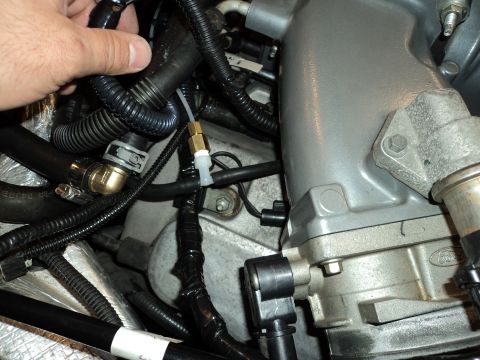 2004 Mercury Grand Marquis - Close-up view of engine bay components, including a hand manipulating a hose and a brass fitting.