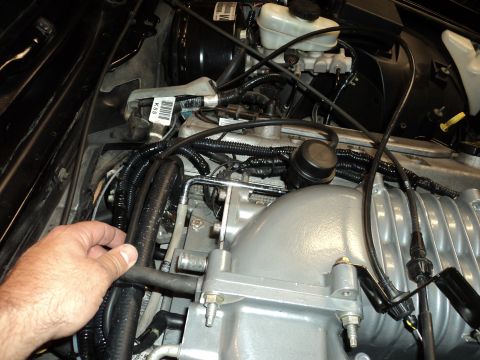 2004 Mercury Grand Marquis - Close-up view of a modified engine bay, showing a supercharger and various hoses.
