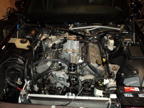 2004 Mercury Grand Marquis - Engine bay view of a supercharged V8, likely from a performance vehicle modification.