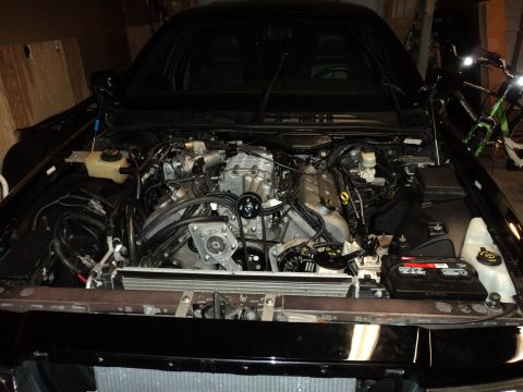 2004 Mercury Grand Marquis - The engine bay of a car is shown with the hood up, revealing the V8 engine and various components.