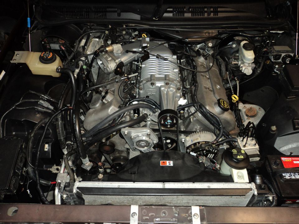 Engine bay with a silver supercharger, black hoses, and a radiator