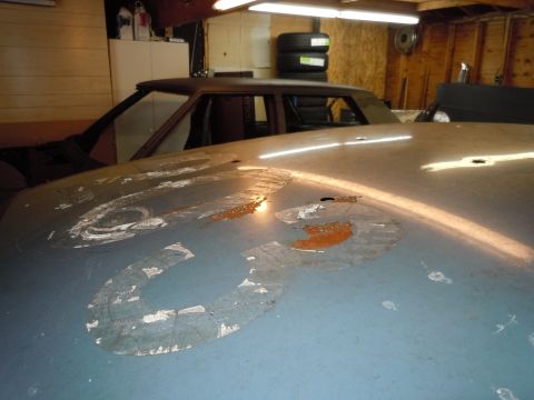 2001 Ford Crown Victoria - Hood of a car with significant paint damage, with another vehicle in the background.