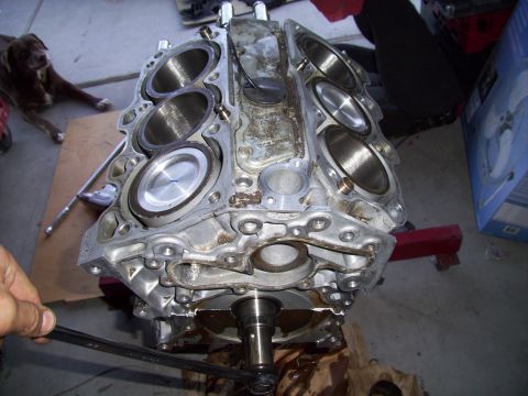 1995 Ford Probe - Engine block disassembled, showing pistons and cylinders. A dog watches from the background.