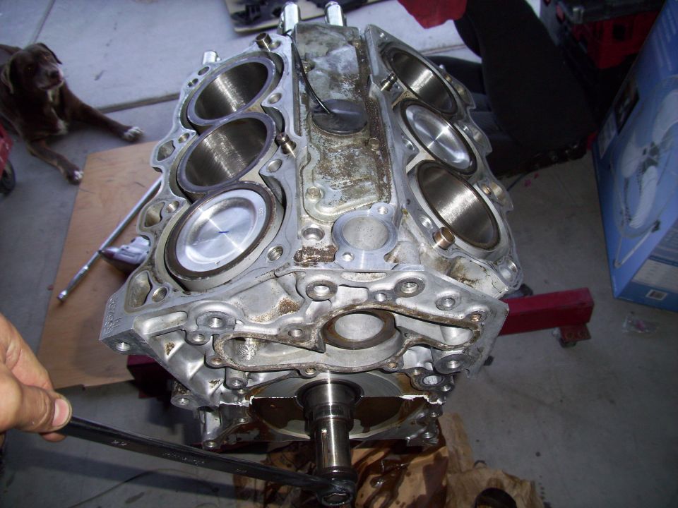 Engine block with pistons visible, on an engine stand. A dog lies on the floor nearby