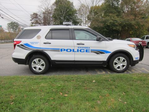 2001 Ford Crown Victoria - A white police SUV with blue and black graphics is parked on the side of the road, with other vehicles visible in the background.
