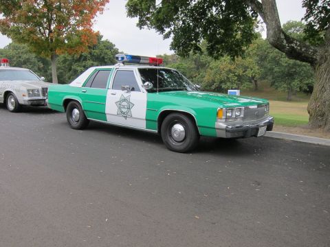 2001 Ford Crown Victoria - Two police cars are parked on a street next to a tree and grass.