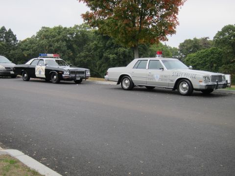 2001 Ford Crown Victoria - Two police cars, a black and white and a silver one, are parked on a road with trees in the background.