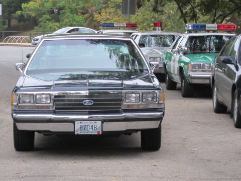 2001 Ford Crown Victoria - A line of police vehicles, including a dark blue Ford Crown Victoria, are parked on a paved surface.