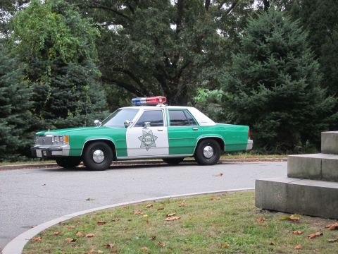 2001 Ford Crown Victoria - A green and white police car with a light bar parked on the side of the road, surrounded by trees.