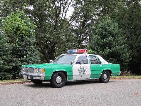 2001 Ford Crown Victoria - Photograph of a green-and-white sheriff Ford Crown Victoria police car, not a technical document.