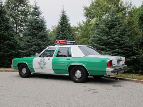 2001 Ford Crown Victoria - Photograph of a green-and-white sheriff Ford Crown Victoria police car, not a technical document.
