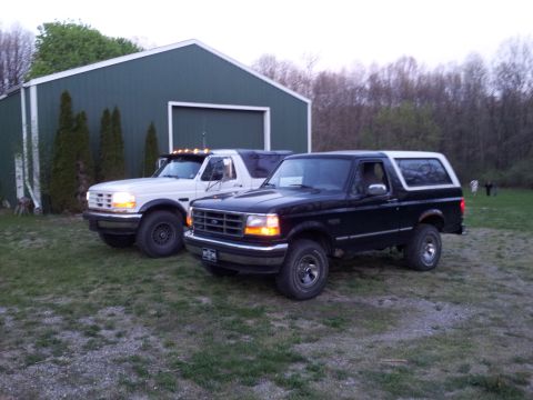 1995 Ford Bronco - Ying Yang anyone?
