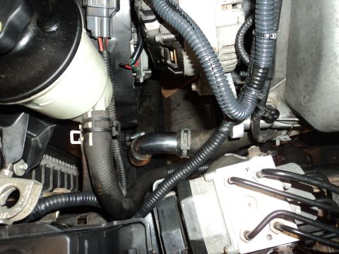 2004 Mercury Grand Marquis - A close-up view of engine components in a 2004 Mercury Grand Marquis, showing a power steering reservoir, hoses, wiring harnesses, and the…