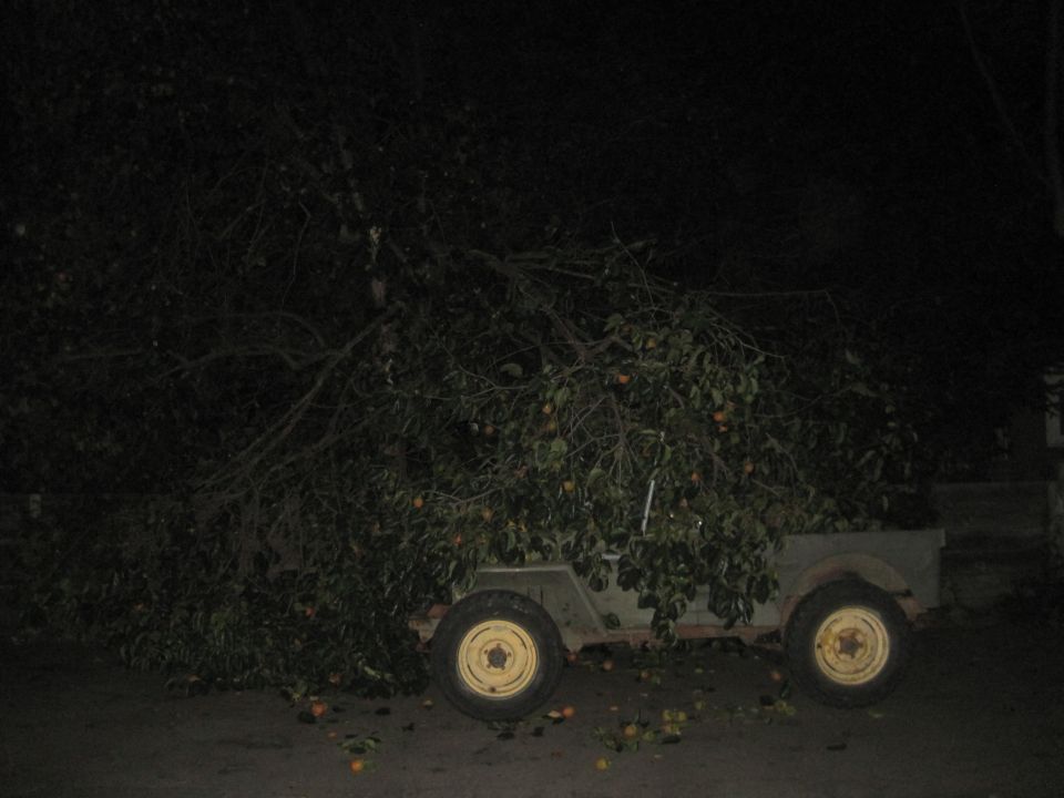 Green Jeep-like vehicle with yellow wheels, covered in tree branches and fruit