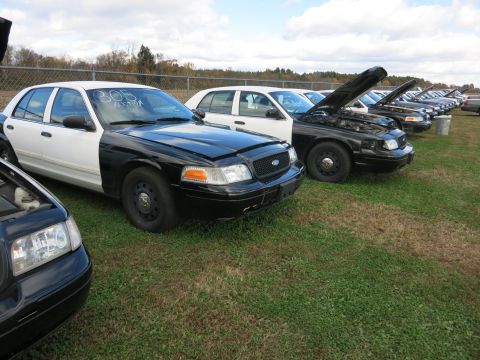 1991 Ford LTD Crown Victoria - Several police cars are lined up in a field, some with hoods open, under a cloudy sky.