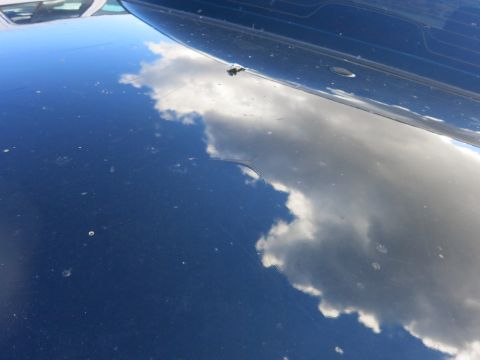 1991 Ford LTD Crown Victoria - The hood of a dark blue car shows a reflection of the sky and clouds, with visible scratches and dirt specks.