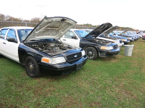 1991 Ford LTD Crown Victoria - A line of police cruisers, likely 1991 Ford Crown Victoria LTDs, are parked on a grassy lot with their hoods raised.