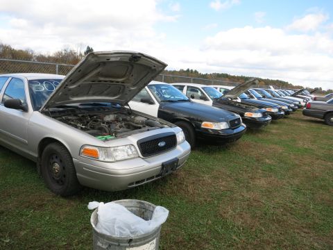 1991 Ford LTD Crown Victoria - Multiple Ford Crown Victoria police cars are parked in a row with their hoods open.