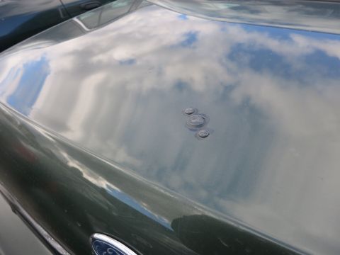 1991 Ford LTD Crown Victoria - Close-up of a car's hood showing reflections and a few small circular indentations.
