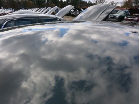 1991 Ford LTD Crown Victoria - A lot full of cars with their hoods open, showing the sky reflected on the car roofs.