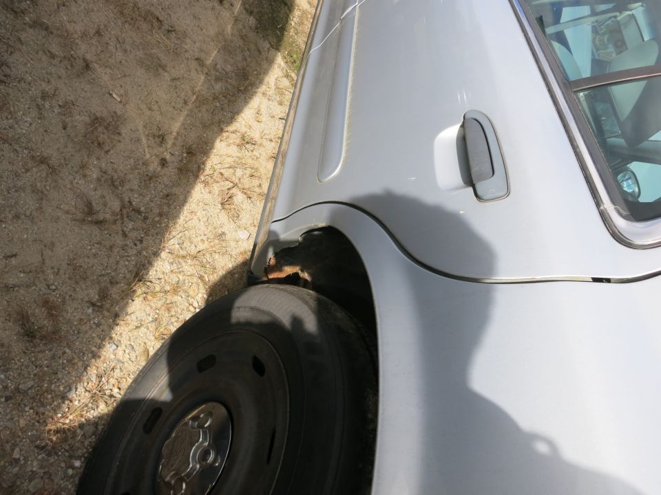 Side view of a silver sedan showing the rear wheel well and door handle