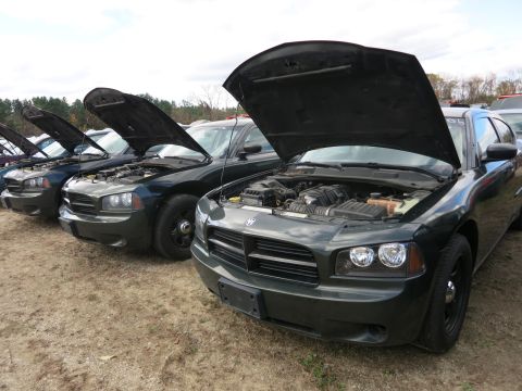 1991 Ford LTD Crown Victoria - Photograph of police sedans lined up at a surplus auction, not a technical document.