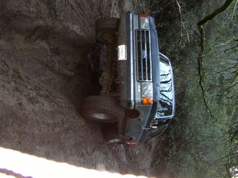 1989 Ford Bronco - This 1989 Ford Bronco is stuck deep in the mud on an off-road trail.