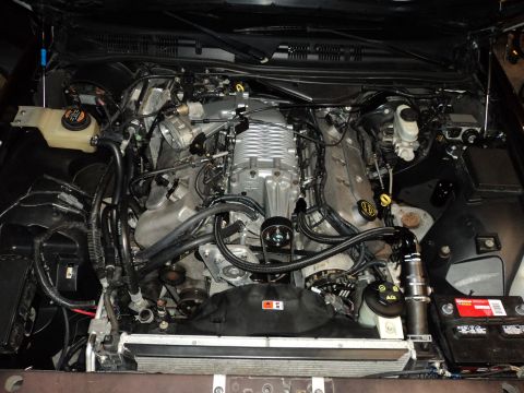 2004 Mercury Grand Marquis - The engine bay of a 2004 Mercury Grand Marquis shows a supercharged V8 engine with custom black hoses and a polished supercharger. The batt…