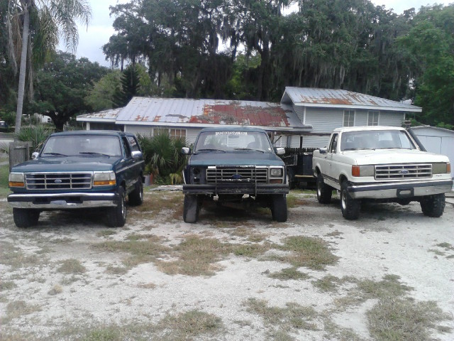 Three Ford Broncos parked front-on: dark green 1990s, lifted blue square-body and white late-1980s