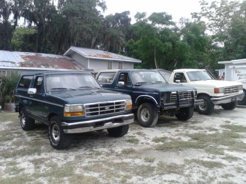 1996 Ford Bronco - Three full-size Ford Broncos parked side by side on a gravel and grass lot in front of a metal-roofed shed and Spanish-moss-draped oaks. In…