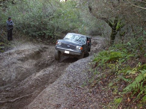 1989 Ford Bronco - Bronco tackling a challenging muddy track in a wooded area.