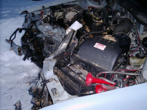 1986 Ford Taurus photo