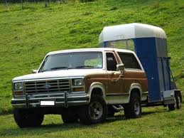 1982 Ford Bronco