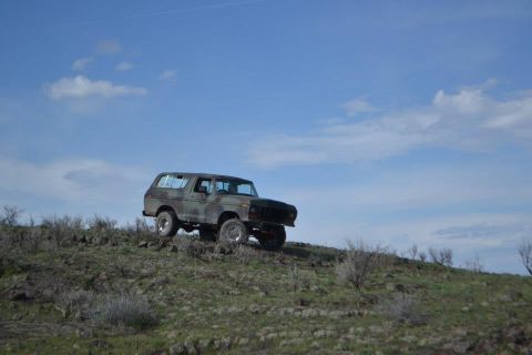 1979 Ford Bronco photo