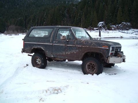 1985 Ford Bronco photo