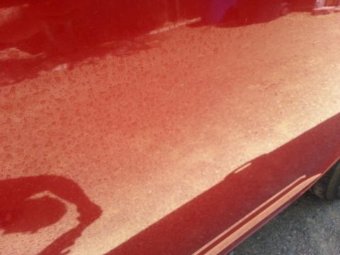 2010 Ford Fusion