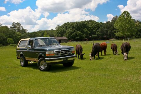 1994 Ford Bronco photo